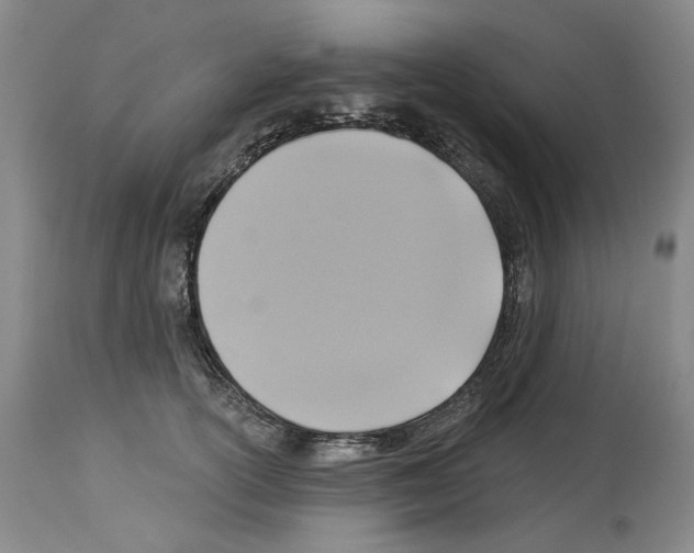 X0000113960754200911061325