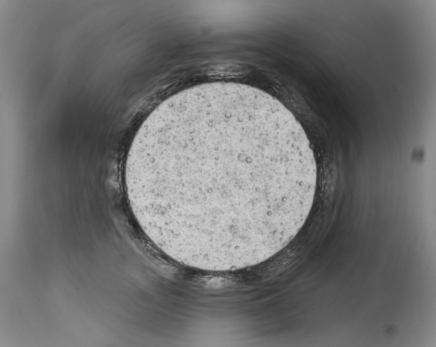 X0000113960755200911061325