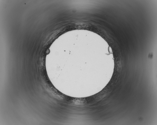 X0000113960756200911061325