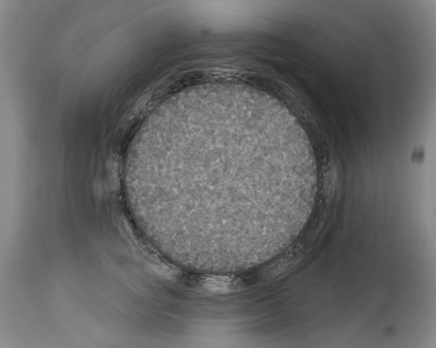 X0000113960757200911061325