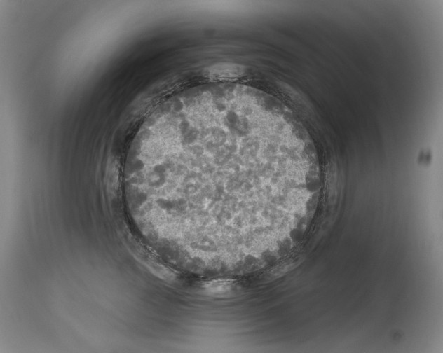 X0000113960761200911061325