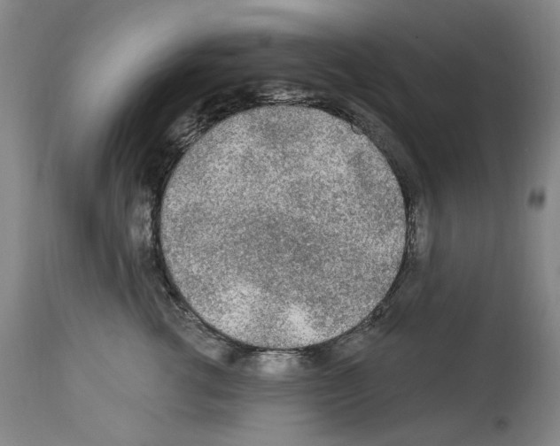 X0000113960762200911061325