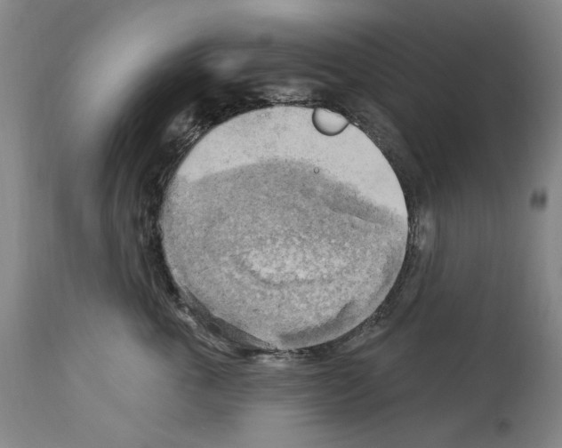 X0000113960763200911061325