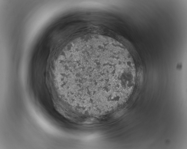 X0000113960765200911061325