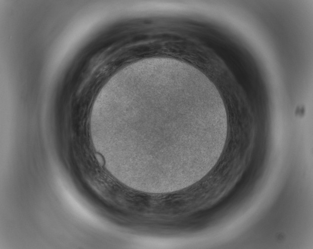 X0000113960766200911061325