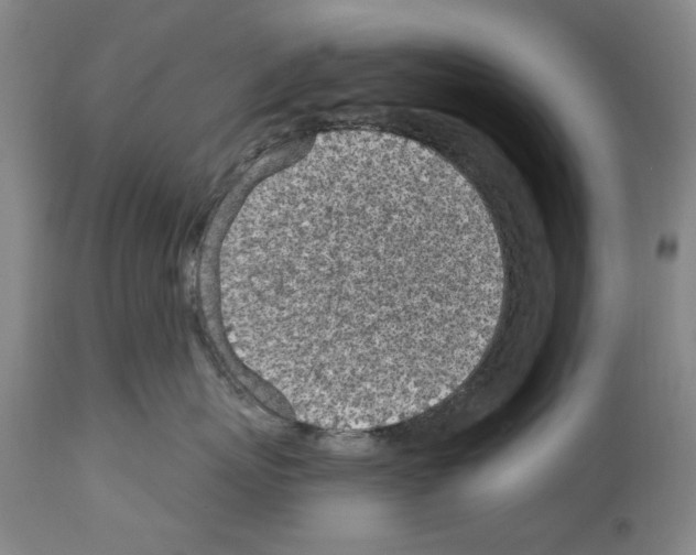 X0000113960767200911061325