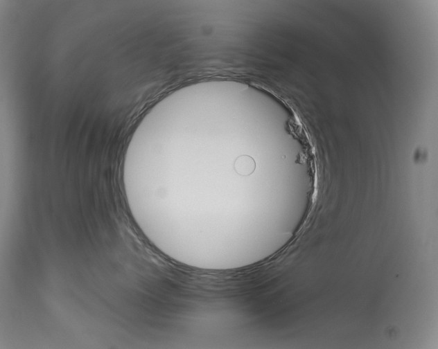 X0000113960768200911061325