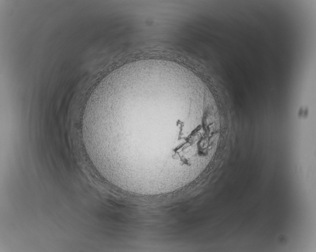 X0000113960769200911061325