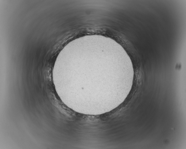 X0000113960770200911061325
