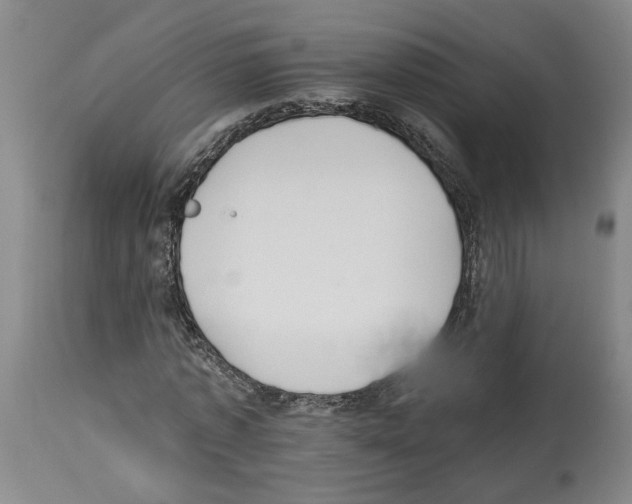 X0000113960773200911061325