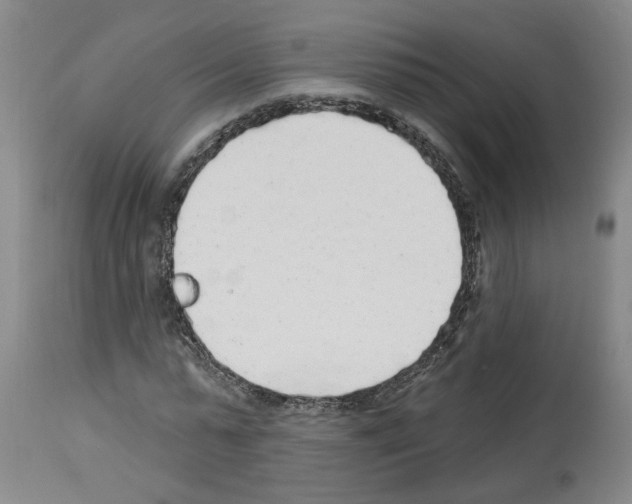 X0000113960775200911061325