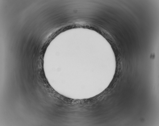 X0000113960776200911061324