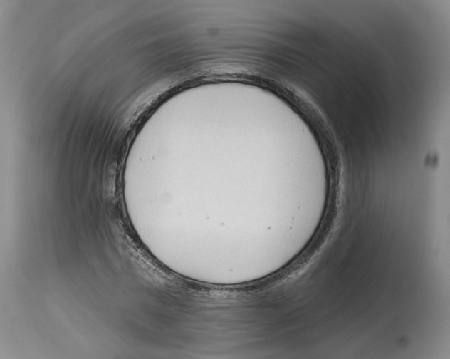 X0000113960777200911061324