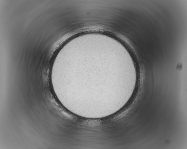 X0000113960778200911061324