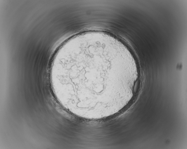 X0000113960779200911061324
