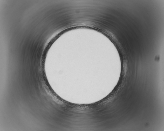 X0000113960780200911061324