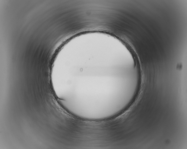 X0000113960781200911061324