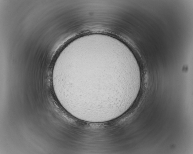 X0000113960782200911061324