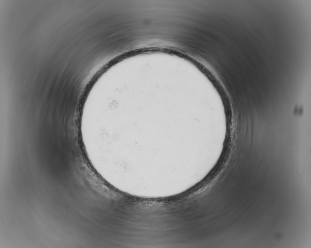 X0000113960783200911061324