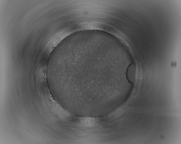 X0000113960785200911061324