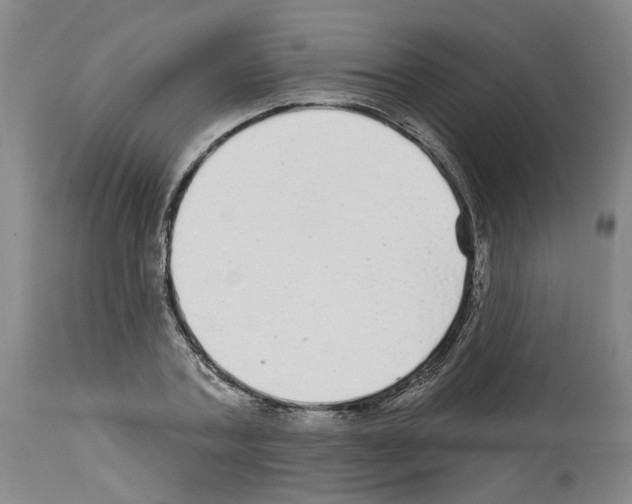 X0000113960787200911061324