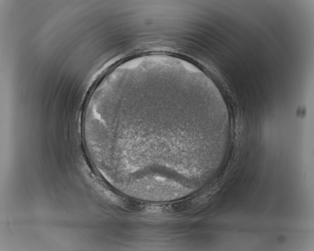 X0000113960790200911061324