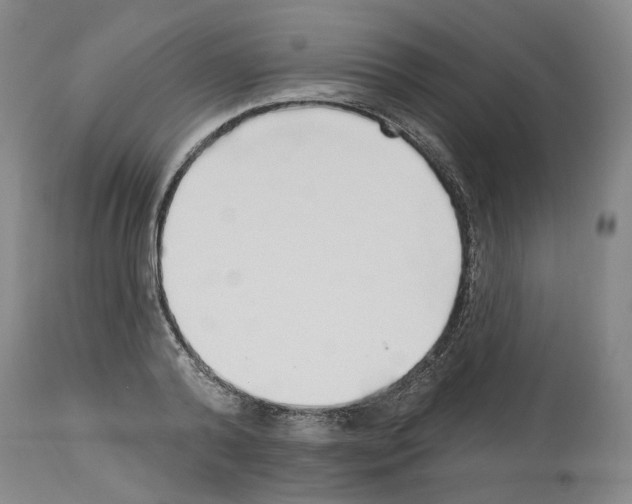 X0000113960792200911061324