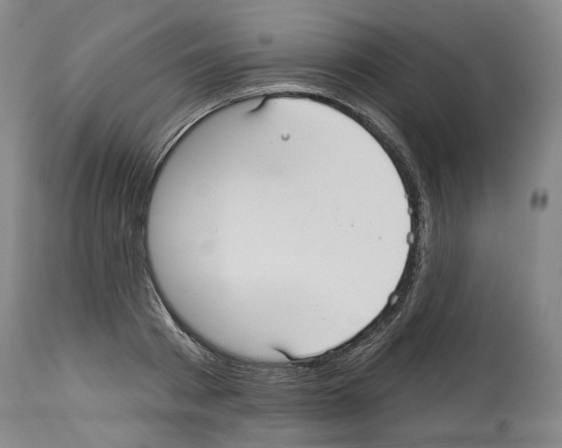 X0000113960793200911061324