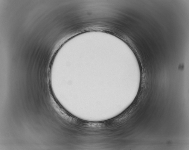 X0000113960795200911061324