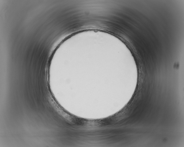 X0000113960796200911061324