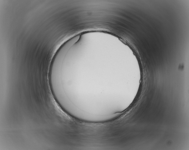 X0000113960797200911061324