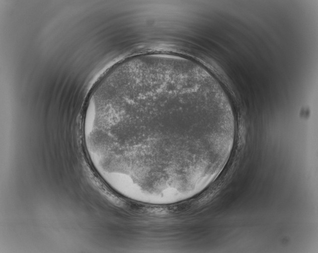 X0000113960798200911061324