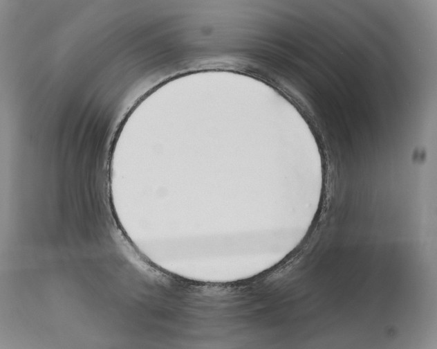 X0000113960800200911061324