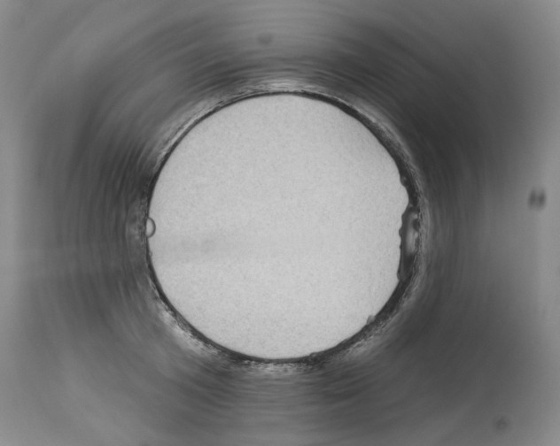 X0000113960801200911061324