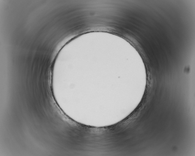 X0000113960804200911061324