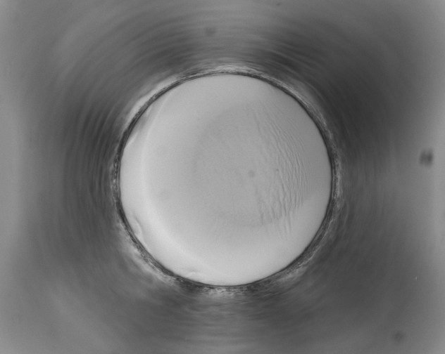 X0000113960806200911061324