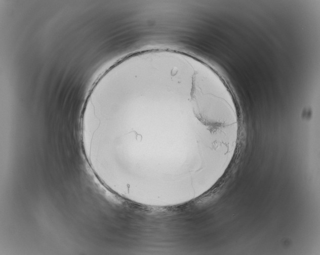 X0000113960807200911061324