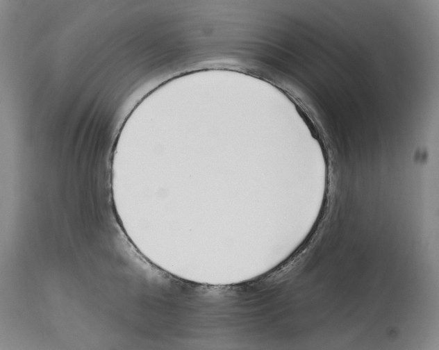X0000113960808200911061324