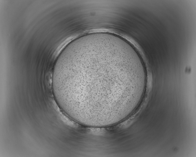 X0000113960809200911061324