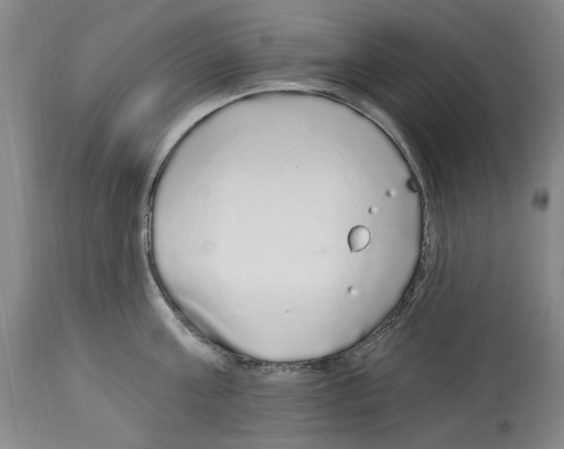 X0000113960811200911061324