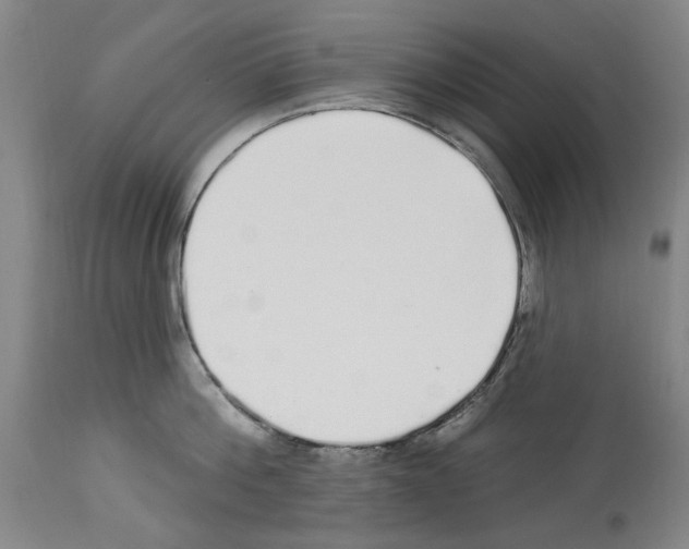 X0000113960812200911061324