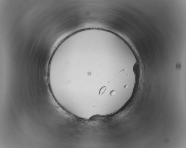 X0000113960815200911061324