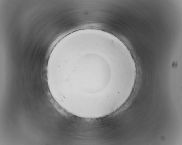 X0000113960816200911061324