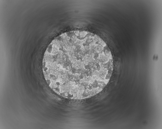 X0000113960817200911061323