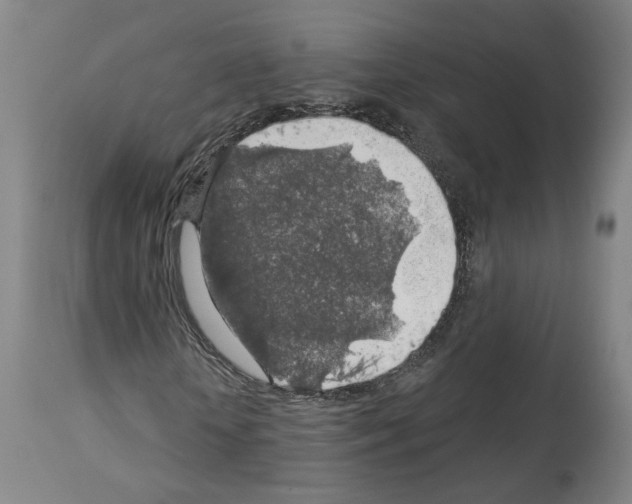 X0000113960818200911061323