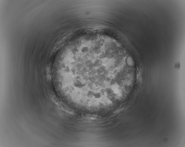 X0000113960819200911061323