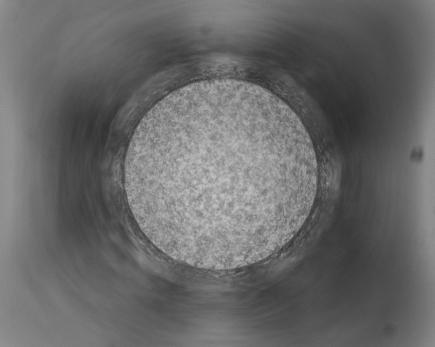X0000113960820200911061323