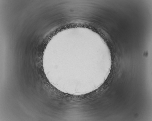 X0000113960821200911061323