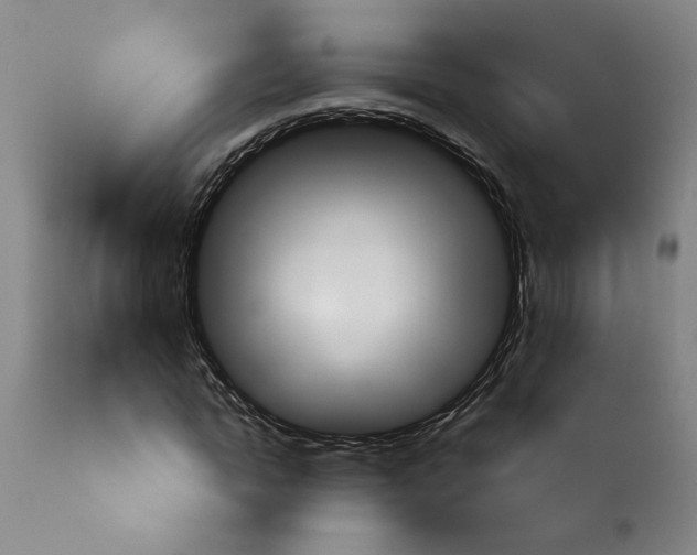 X0000113960822200911061323