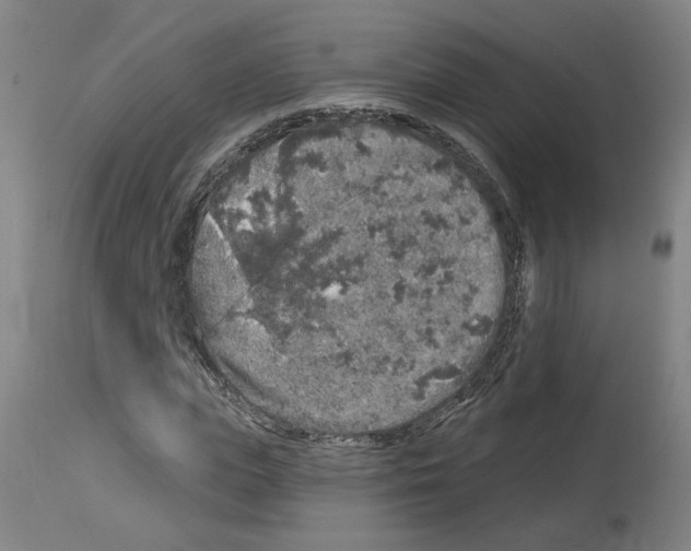 X0000113960823200911061323